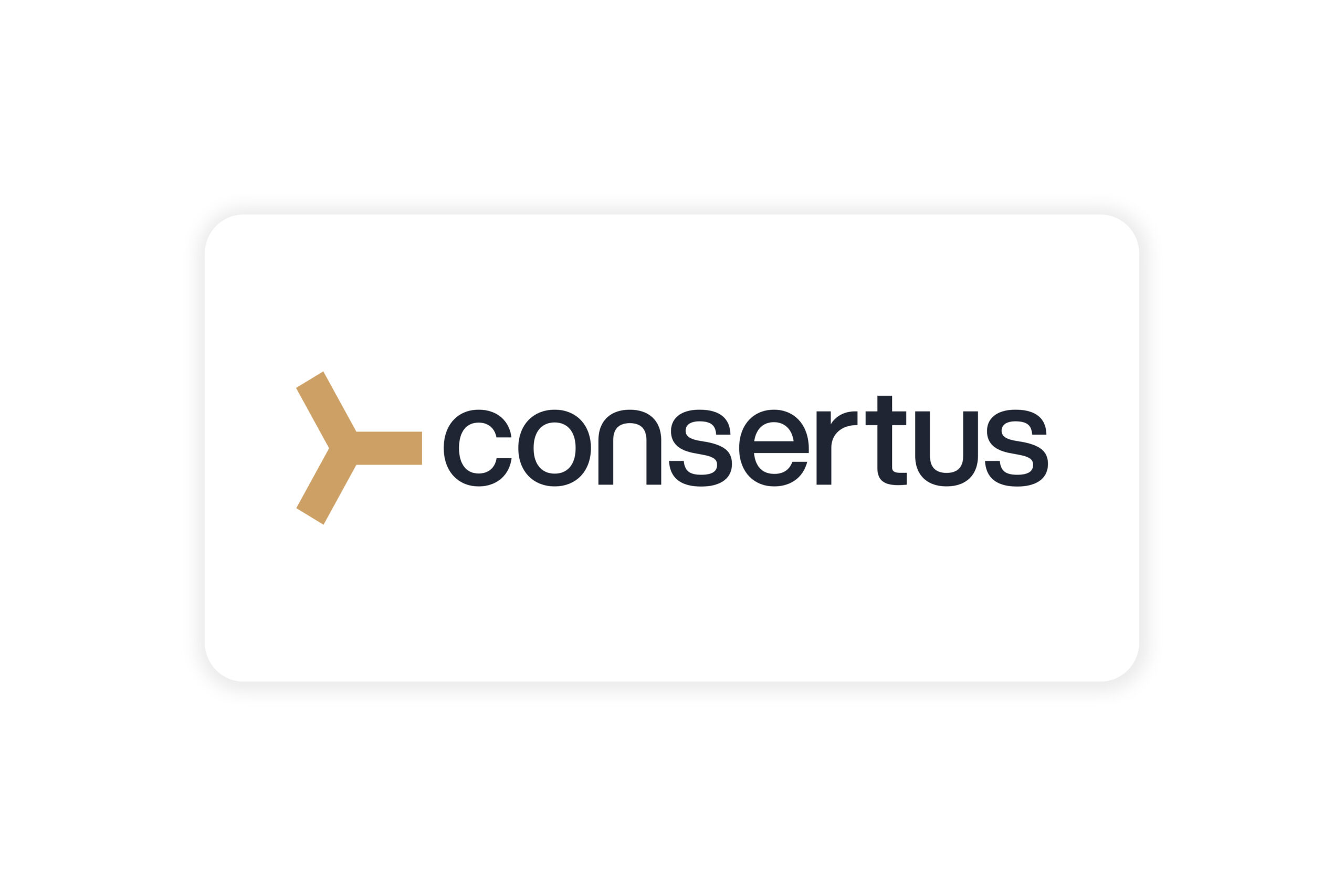 Consertus | Car Magnet 24"x 12"